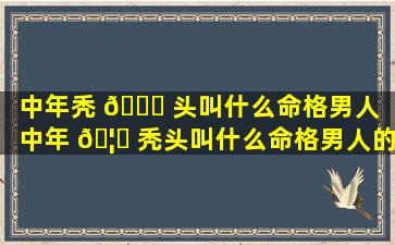 中年秃 🕊 头叫什么命格男人（中年 🦟 秃头叫什么命格男人的名字）